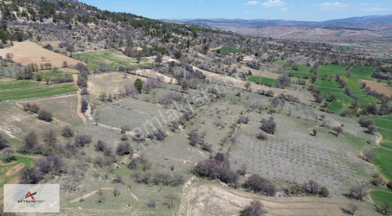 Ilgın Aşağıçiğil Akpınar Mahallesinde 1.840 M² Müstakil Bahçe - Görsel 7