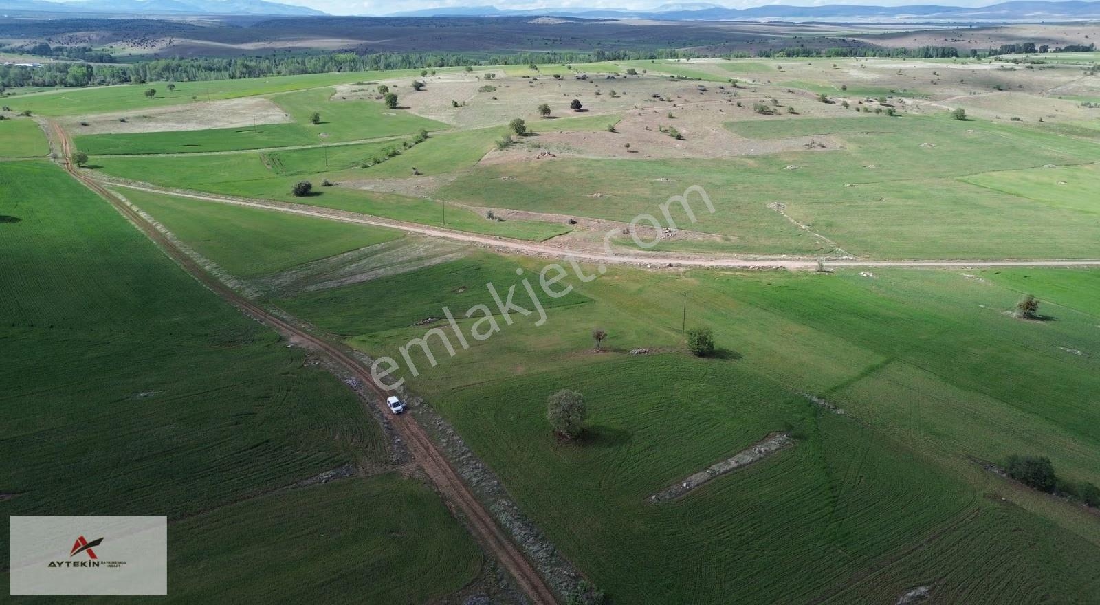 Konya Akören Tülce Mahallesi'nde 2.392 M² Müstakil Tapulu Tarla - Görsel 6