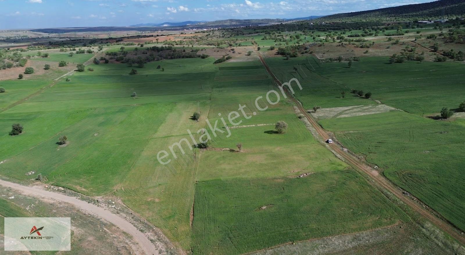 Konya Akören Tülce Mahallesi'nde 2.392 M² Müstakil Tapulu Tarla - Görsel 5