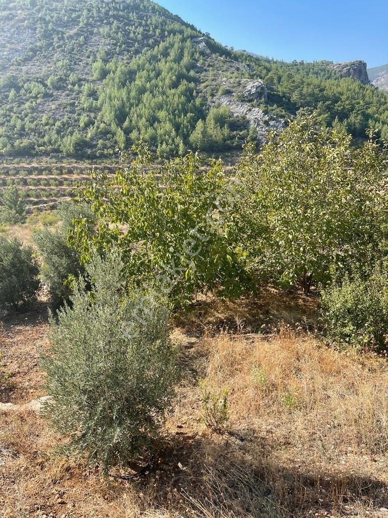 Mersin/silifke/imamuşağı Köyü'nde Eşsiz Yatırım Fırsatı!20 Dönüm - Görsel 41