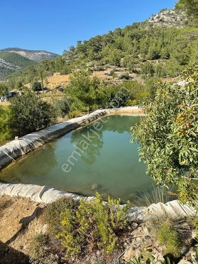 Mersin/silifke/imamuşağı Köyü'nde Eşsiz Yatırım Fırsatı!20 Dönüm - Görsel 4