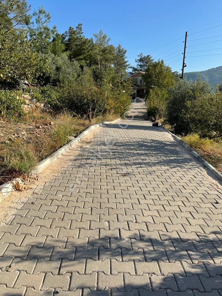 Mersin/silifke/imamuşağı Köyü'nde Eşsiz Yatırım Fırsatı!20 Dönüm - Görsel 2