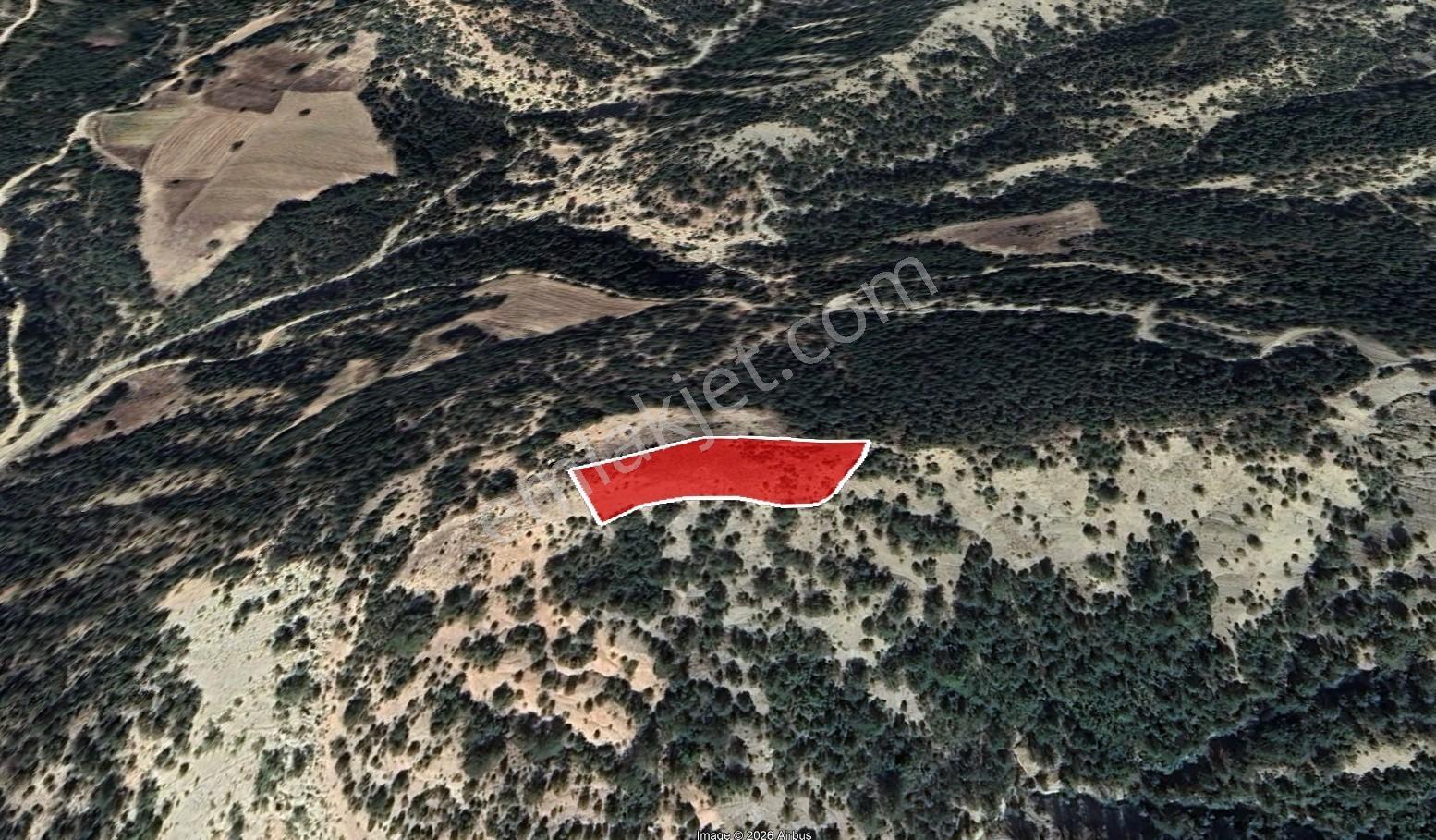 Remax Hür Furkan Atak'tan Yumaklı'da Satılık 2.820,54 M² Tarla - Görsel 4