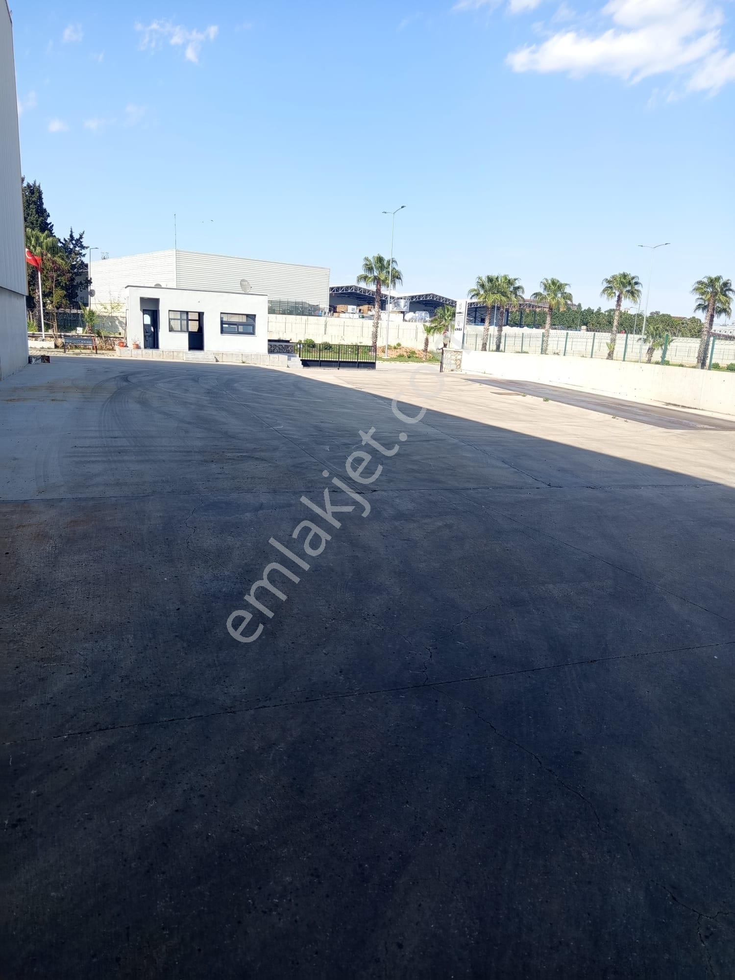 Organize Sanayi 7353m2 Arsa 3181m2 Kapalı+500m2 Ofis Yükseklik 9m İlk Giriş Fabrikası E-5 Ten 300m - Görsel 12