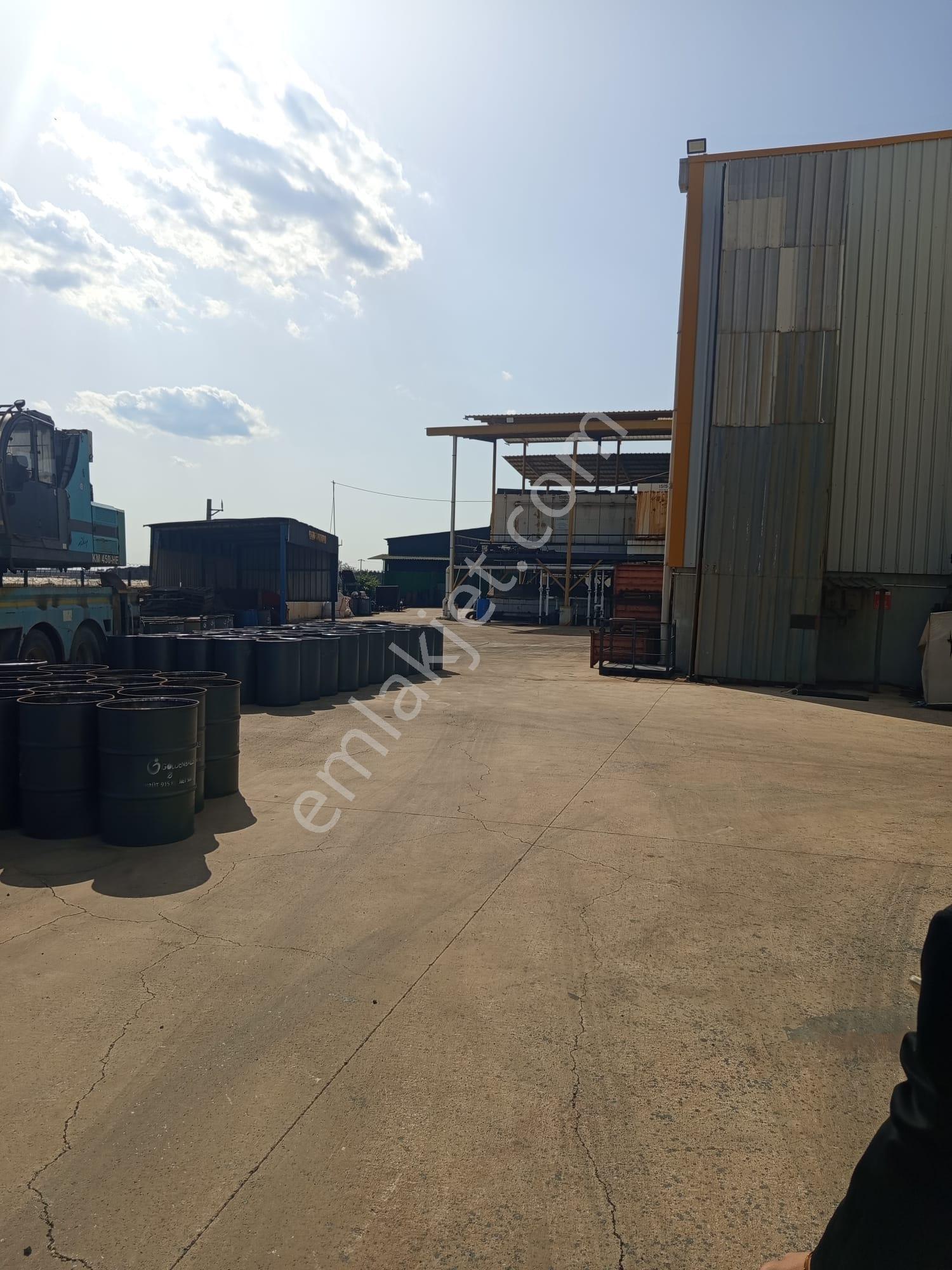 Organize Sanayi 7353m2 Arsa 3181m2 Kapalı+500m2 Ofis Yükseklik 9m İlk Giriş Fabrikası E-5 Ten 300m - Görsel 11