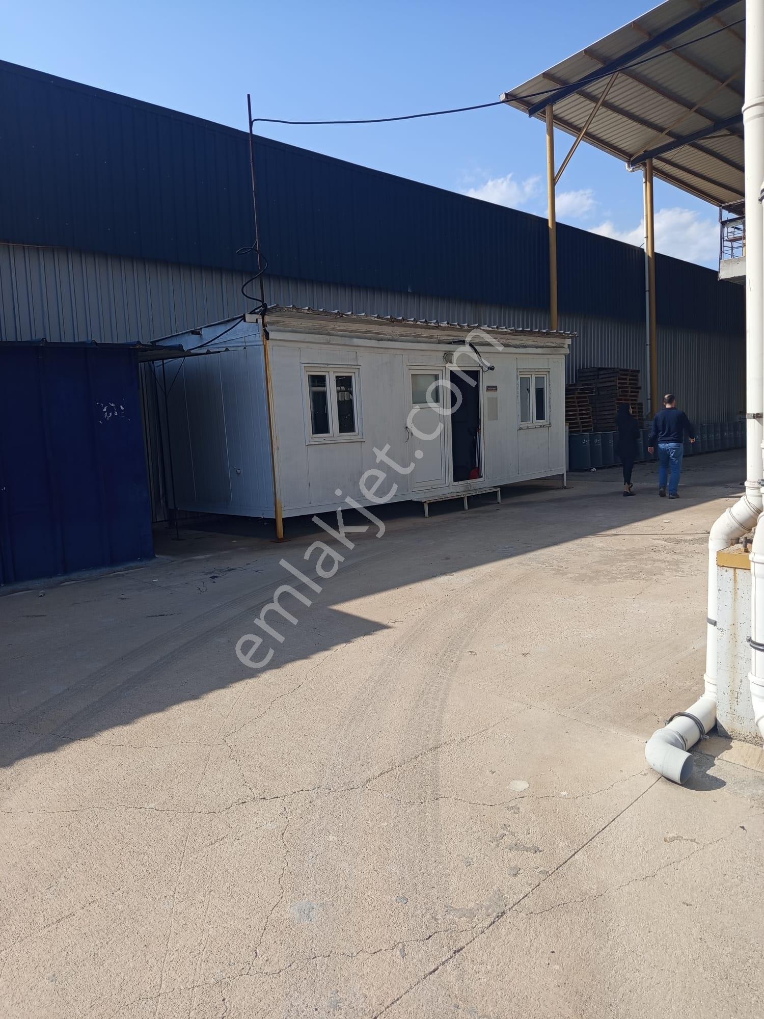 Organize Sanayi 7353m2 Arsa 3181m2 Kapalı+500m2 Ofis Yükseklik 9m İlk Giriş Fabrikası E-5 Ten 300m - Görsel 17