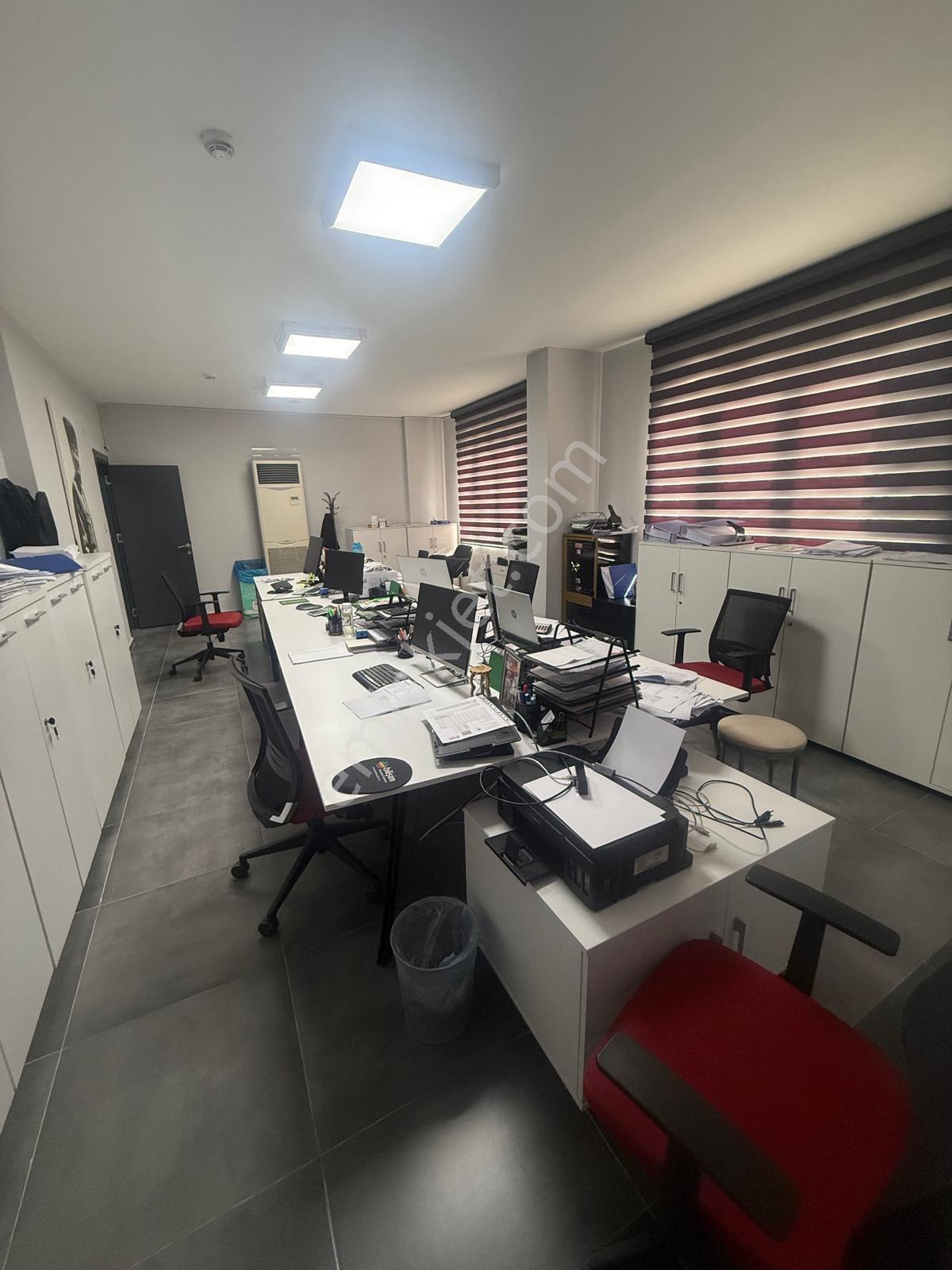 *organize Sanayi*fabrika*36dönüm Arsa 7m Yükseklik 9,5 Dönüm Kapalı Büyümeye Uygun 1600kw - Görsel 23