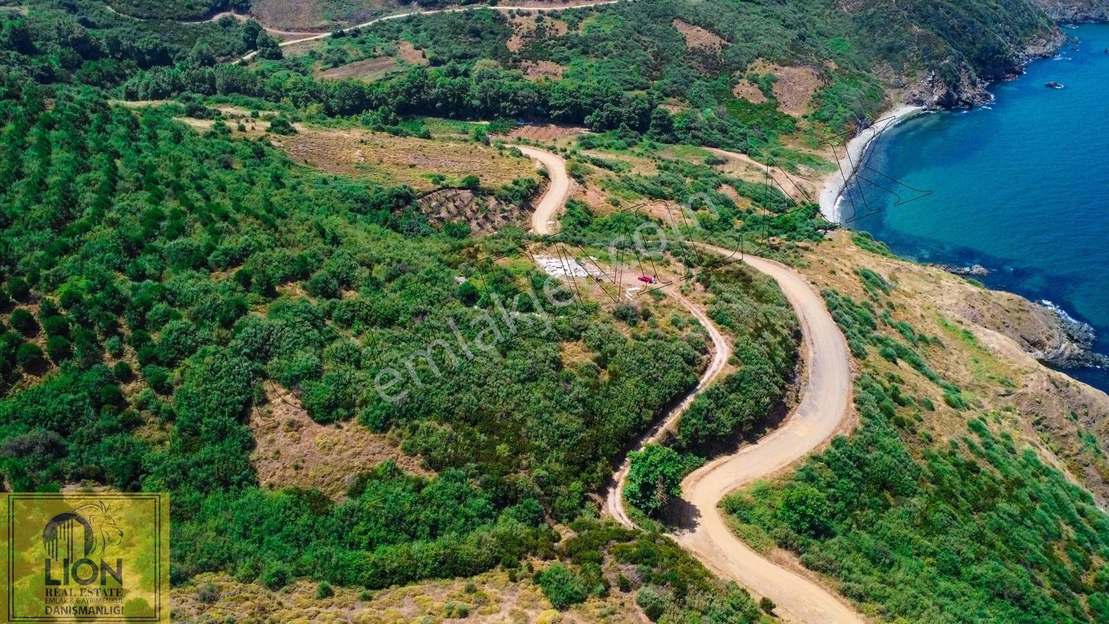Bandırma Sahil Yenicede Deniz Manzaralı Satılık Arazi - Görsel 12