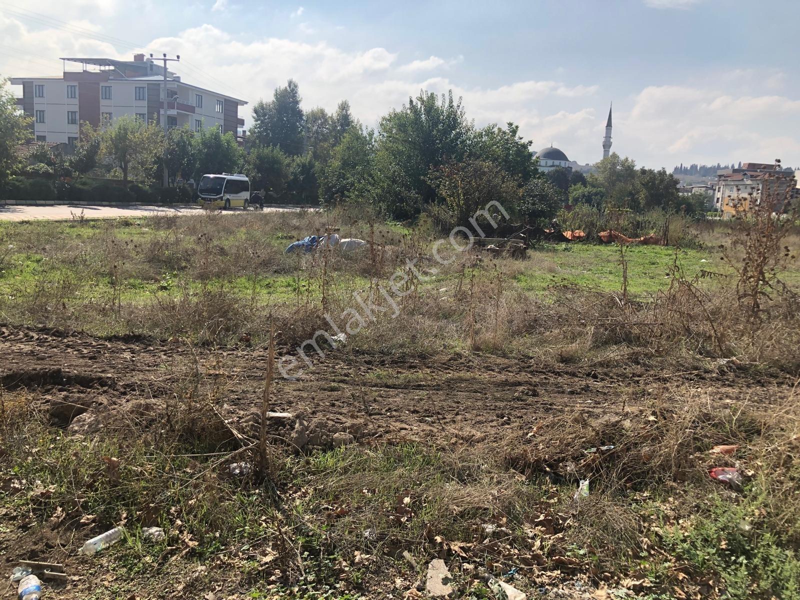 Züferbey De Satılık 335 M2 Konut İmarlı Fırsat Arsa