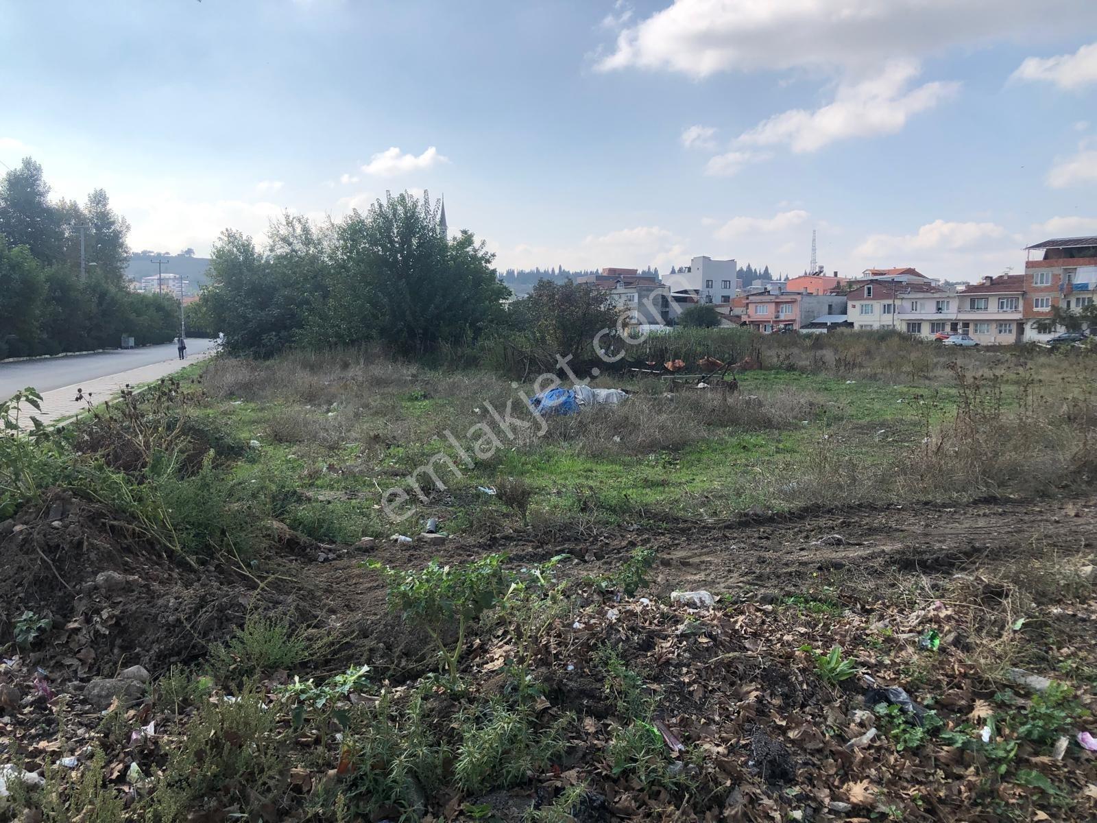 Züferbey De Satılık 335 M2 Konut İmarlı Fırsat Arsa - Görsel 3