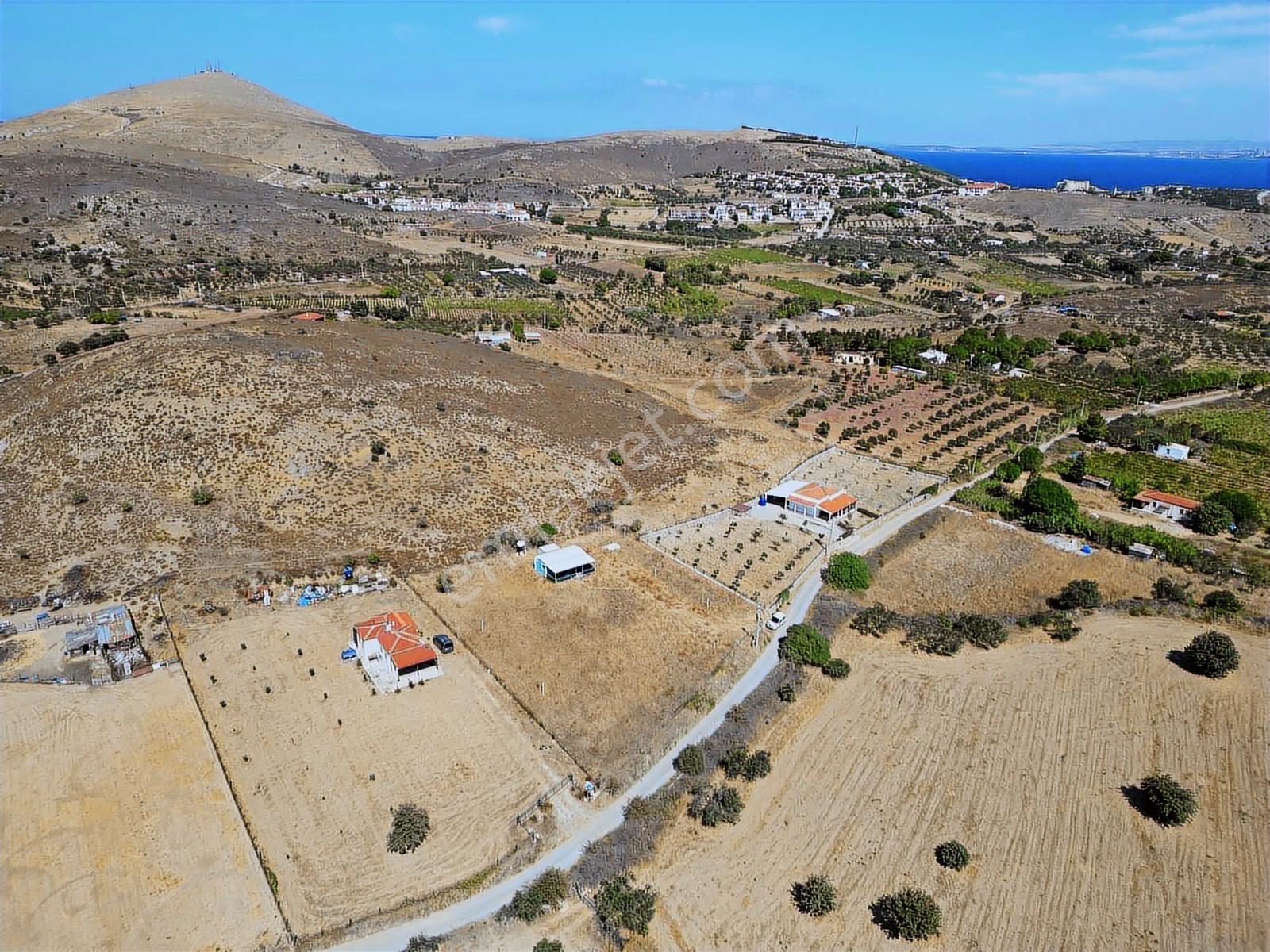 Güçlü Kardeşler Bozcaada'da 2.450 M2 Bag İçinde Yapı Mevcut - Görsel 3
