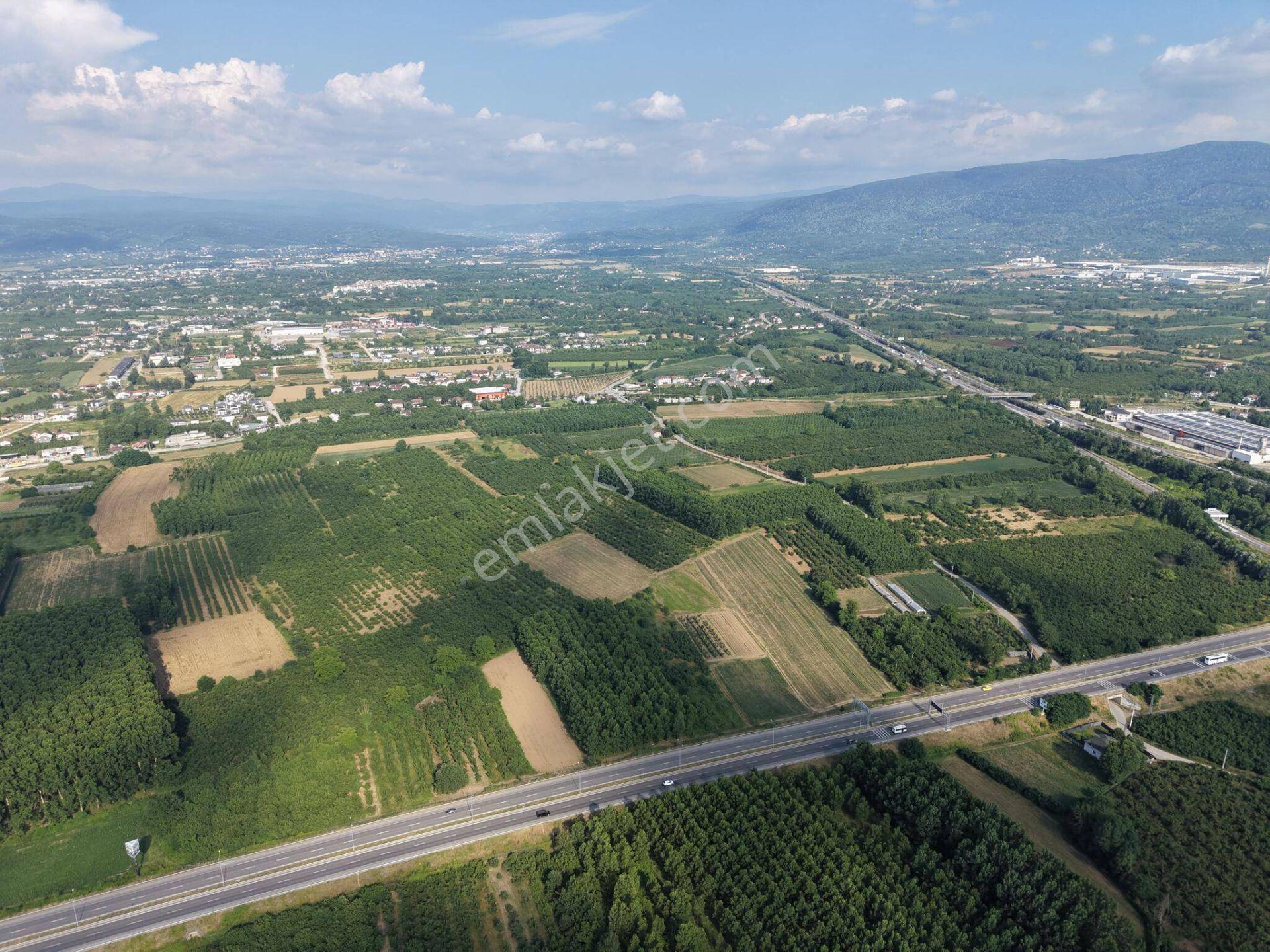 Sinirci Köyü'nde 673 M2 - 697 M2 - 1215 M2 - 1662 M2 Satılık Parseller - Görsel 24