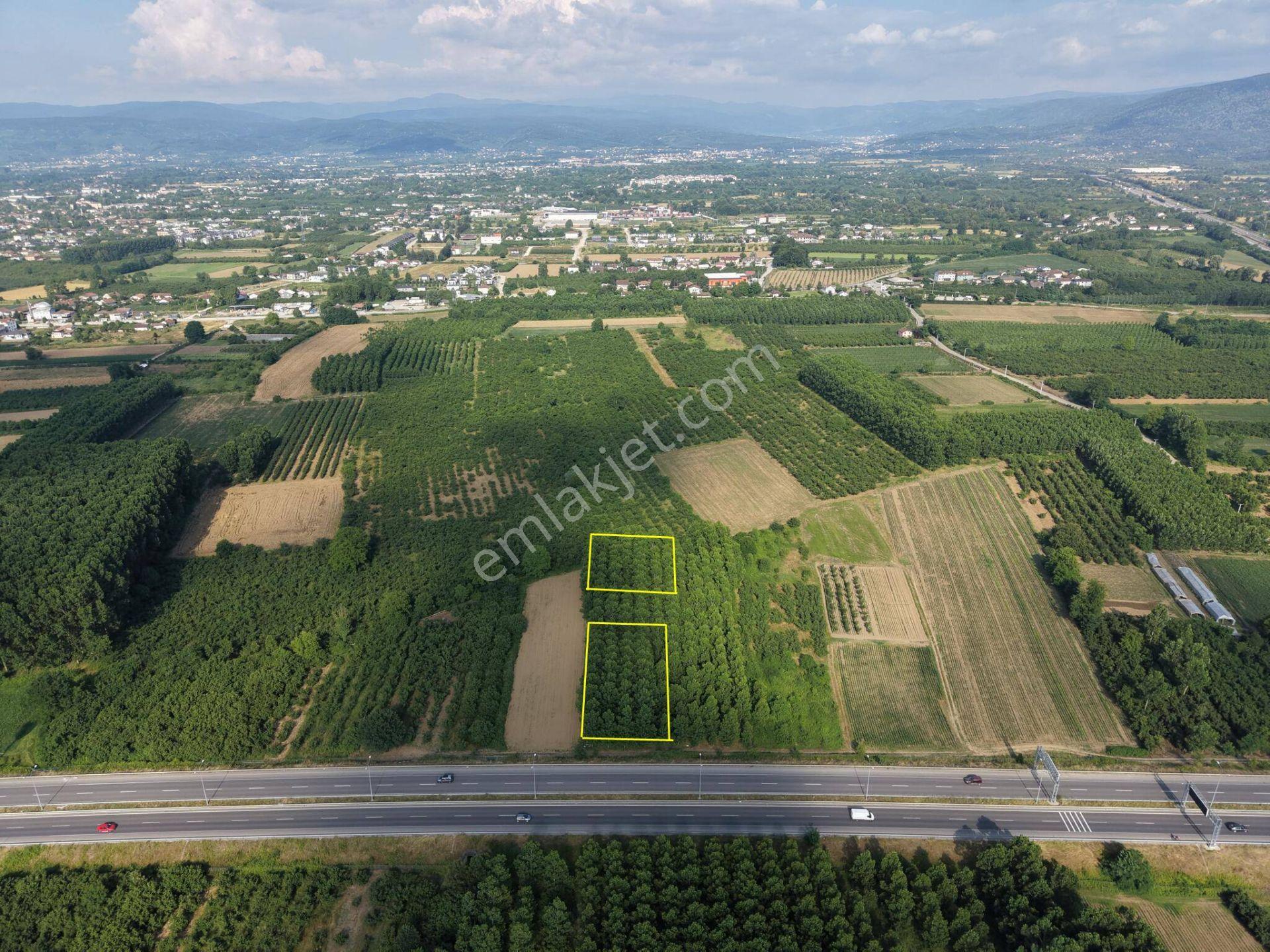 Sinirci Köyü'nde 673 M2 - 697 M2 - 1215 M2 - 1662 M2 Satılık Parseller - Görsel 35