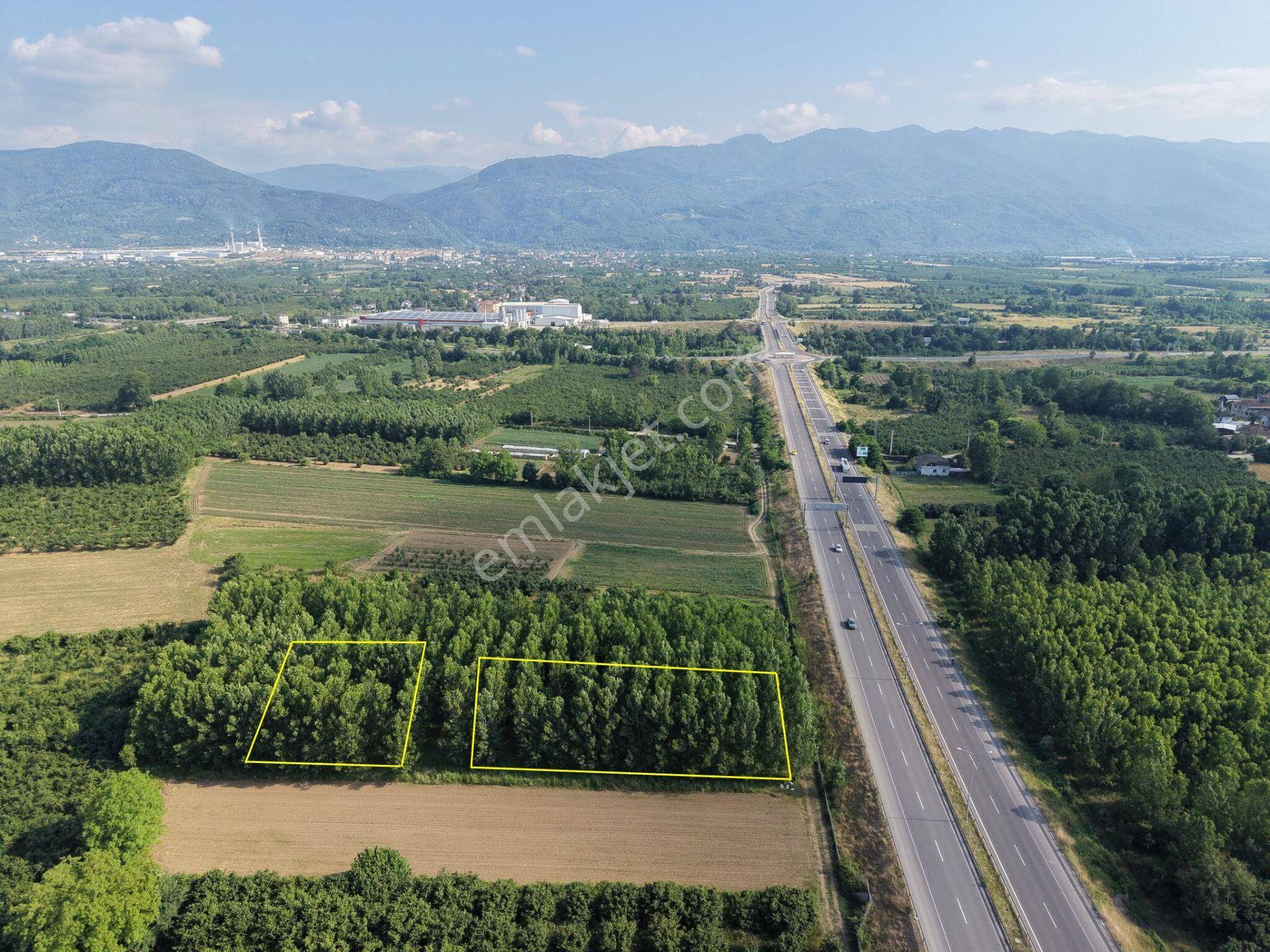 Sinirci Köyü'nde 673 M2 - 697 M2 - 1215 M2 - 1662 M2 Satılık Parseller - Görsel 34