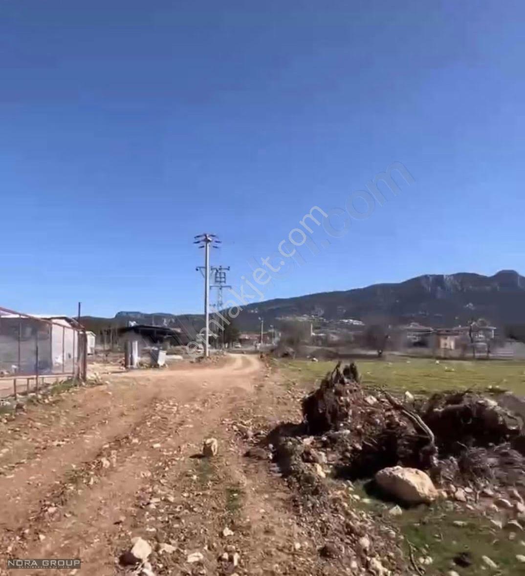 Baklan Merkezde İmara Yakın 6948 M2 Satılık Bademlik - Görsel 5