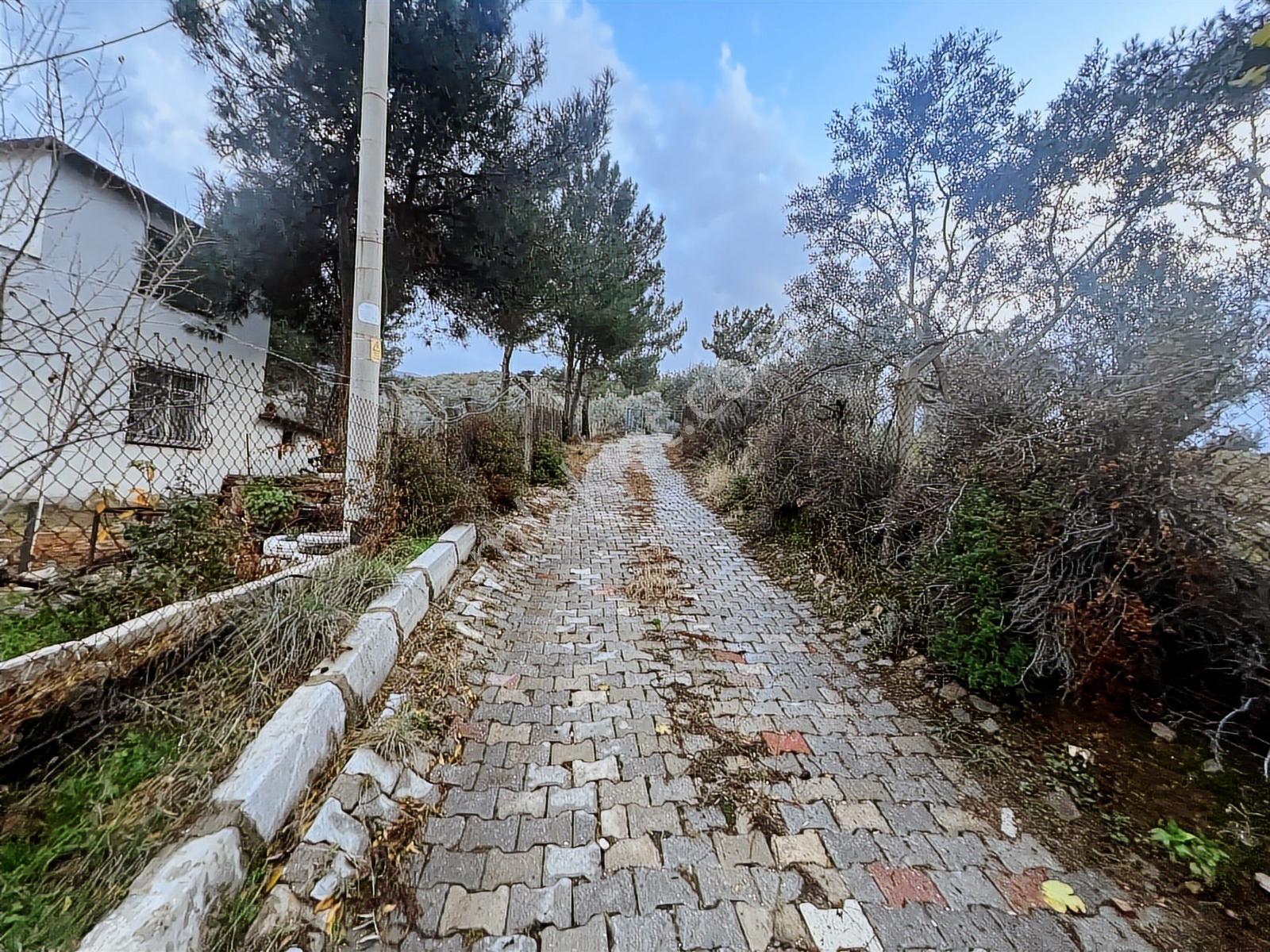 Kemalpaşa Armutlu Hürriyet Mah. Satılık 1.950 M2 Bahçe - Görsel 27