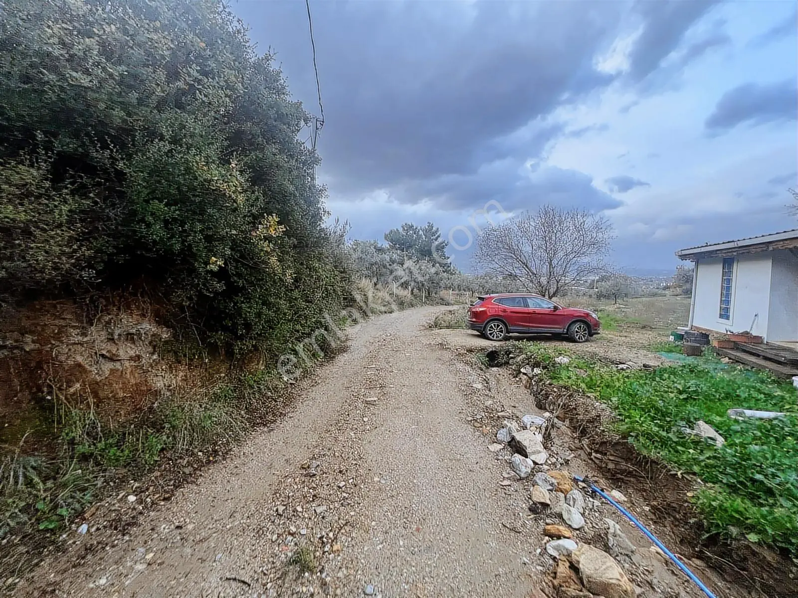 Kemalpaşa Armutlu Hürriyet Mah. Satılık 1.950 M2 Bahçe - Görsel 2