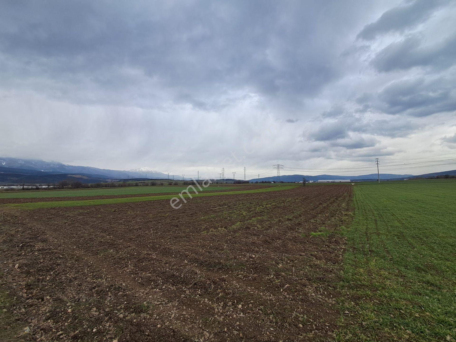 Bolu Oğuldoruk'ta Yatırımlık Tarla: D-100'e Yakın, 1617m²