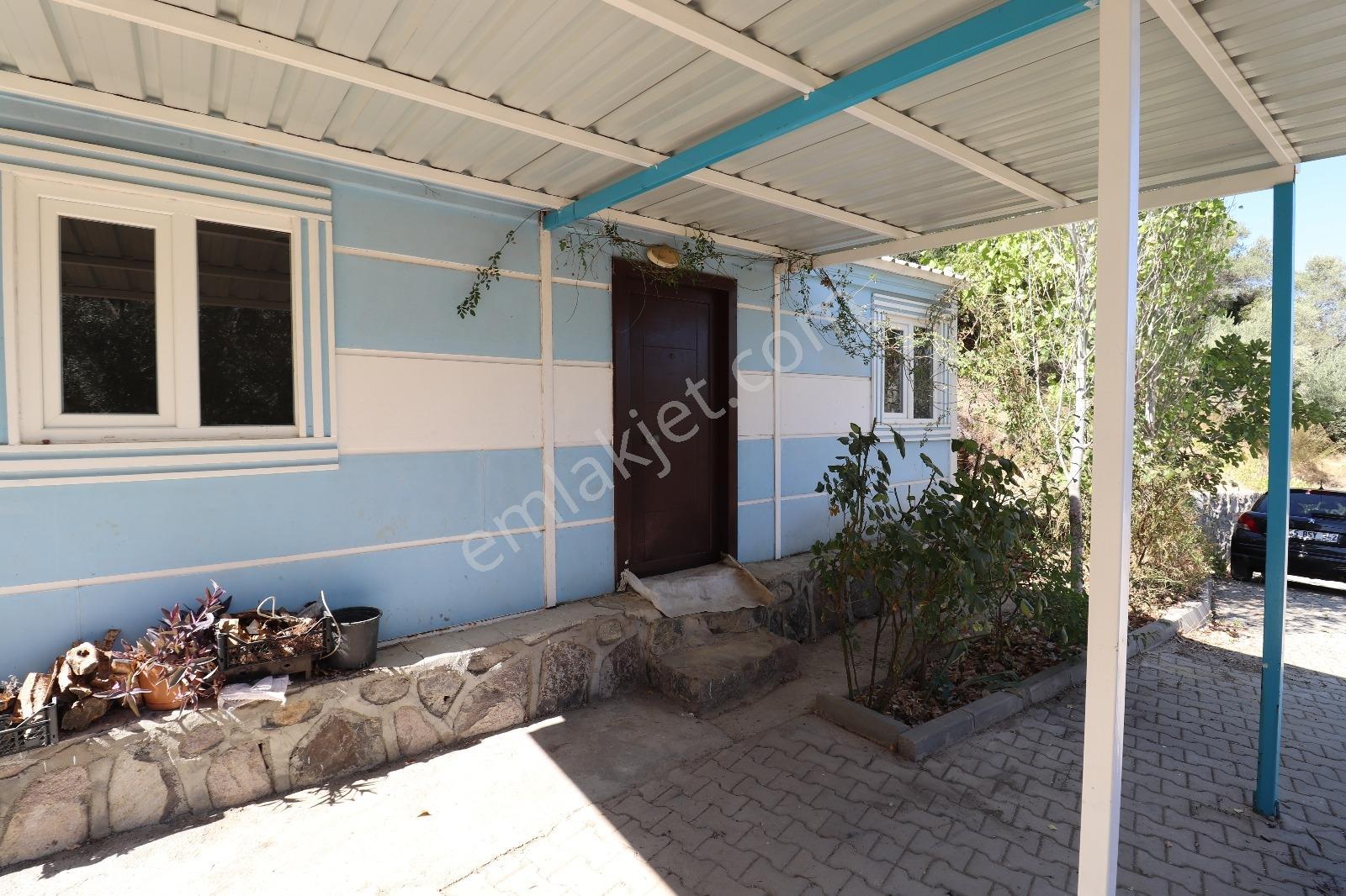 Kemalpaşa Aşağıkızılca Satılık 4536 M2 Bahçe - Görsel 34