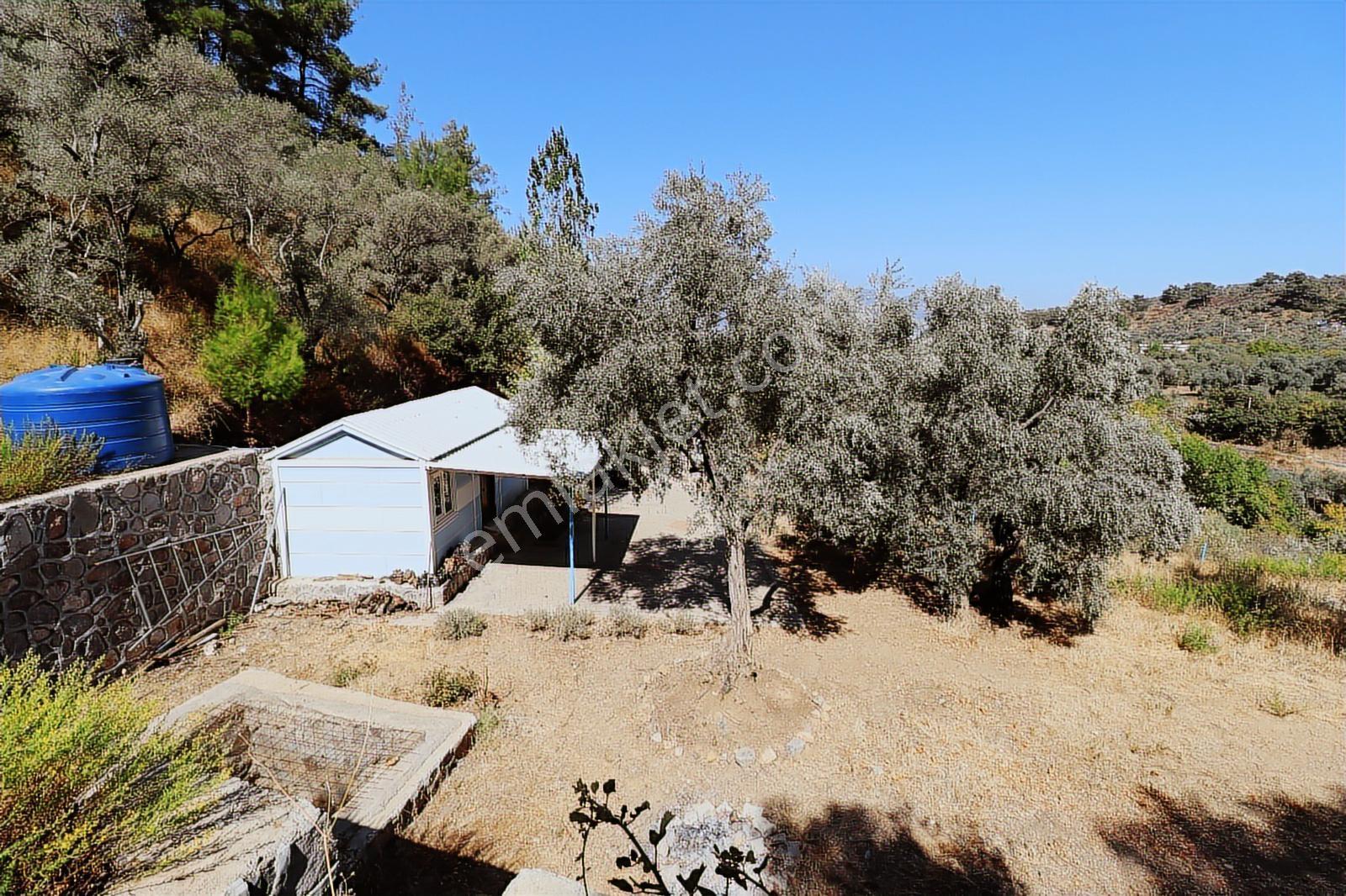 Kemalpaşa Aşağıkızılca Satılık 4536 M2 Bahçe - Görsel 6