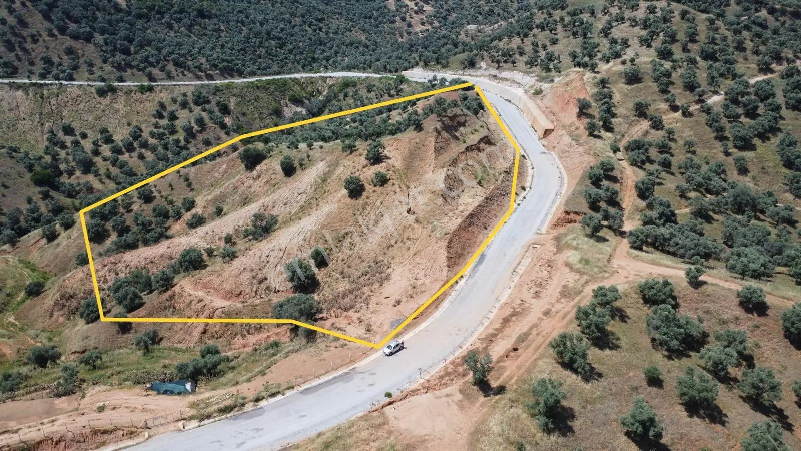 Aydın Bölgesinin En Uygun Zeytinliği Dönüm Fiyatı 93 Bin Tl