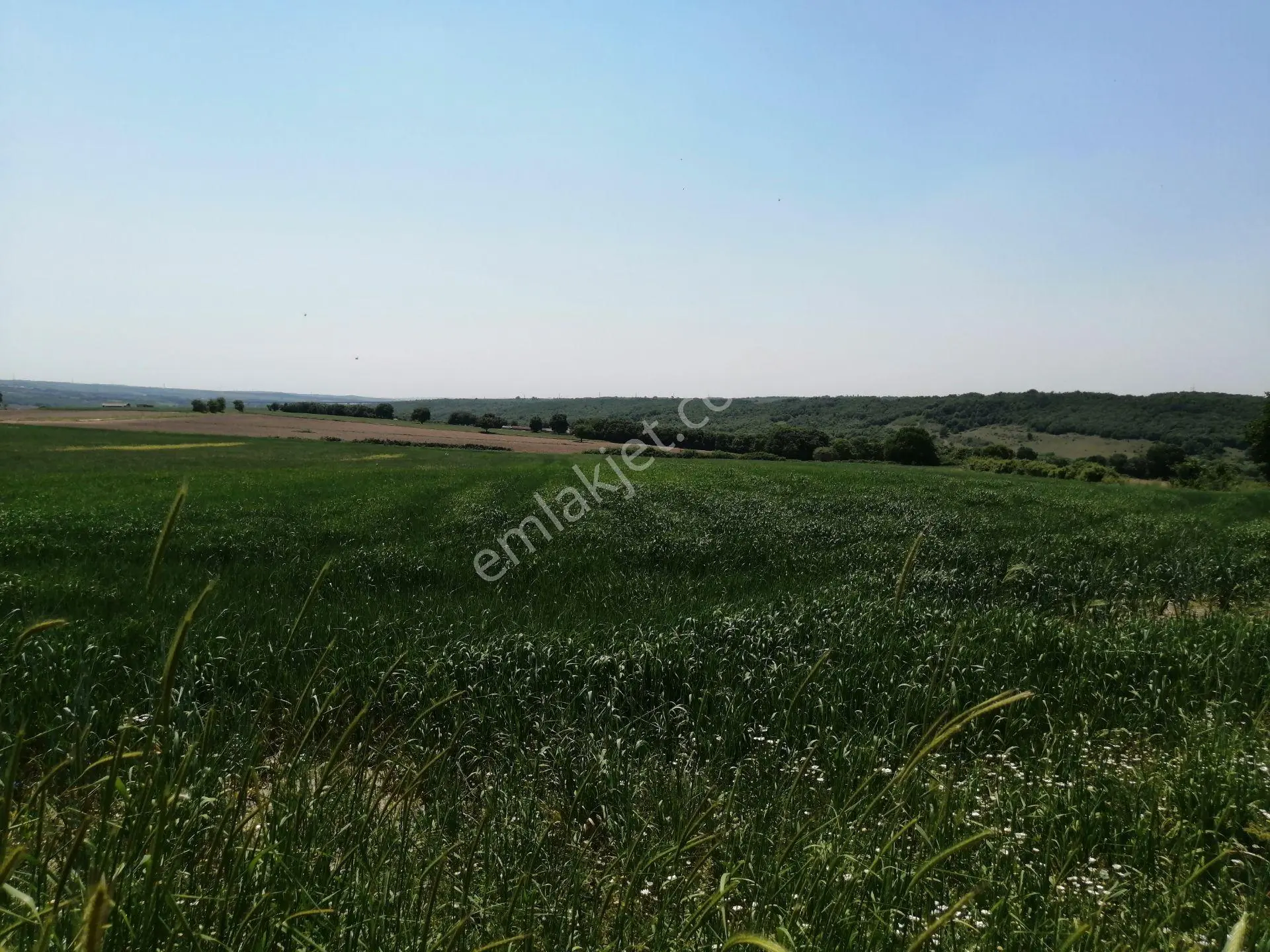 Silivri Buyukcavusluda 2996 M2 Tarla - Görsel 2