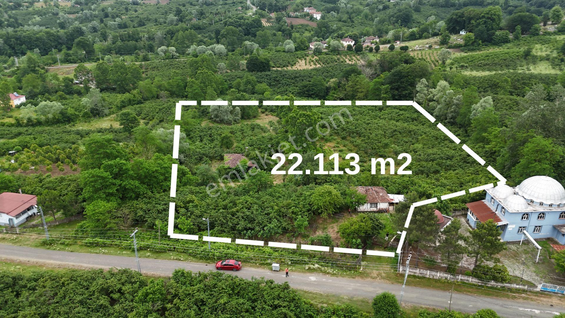 Lerox Uçar'dan Şeyhli Mah Satılık Fındık Bahçesi - Görsel 2