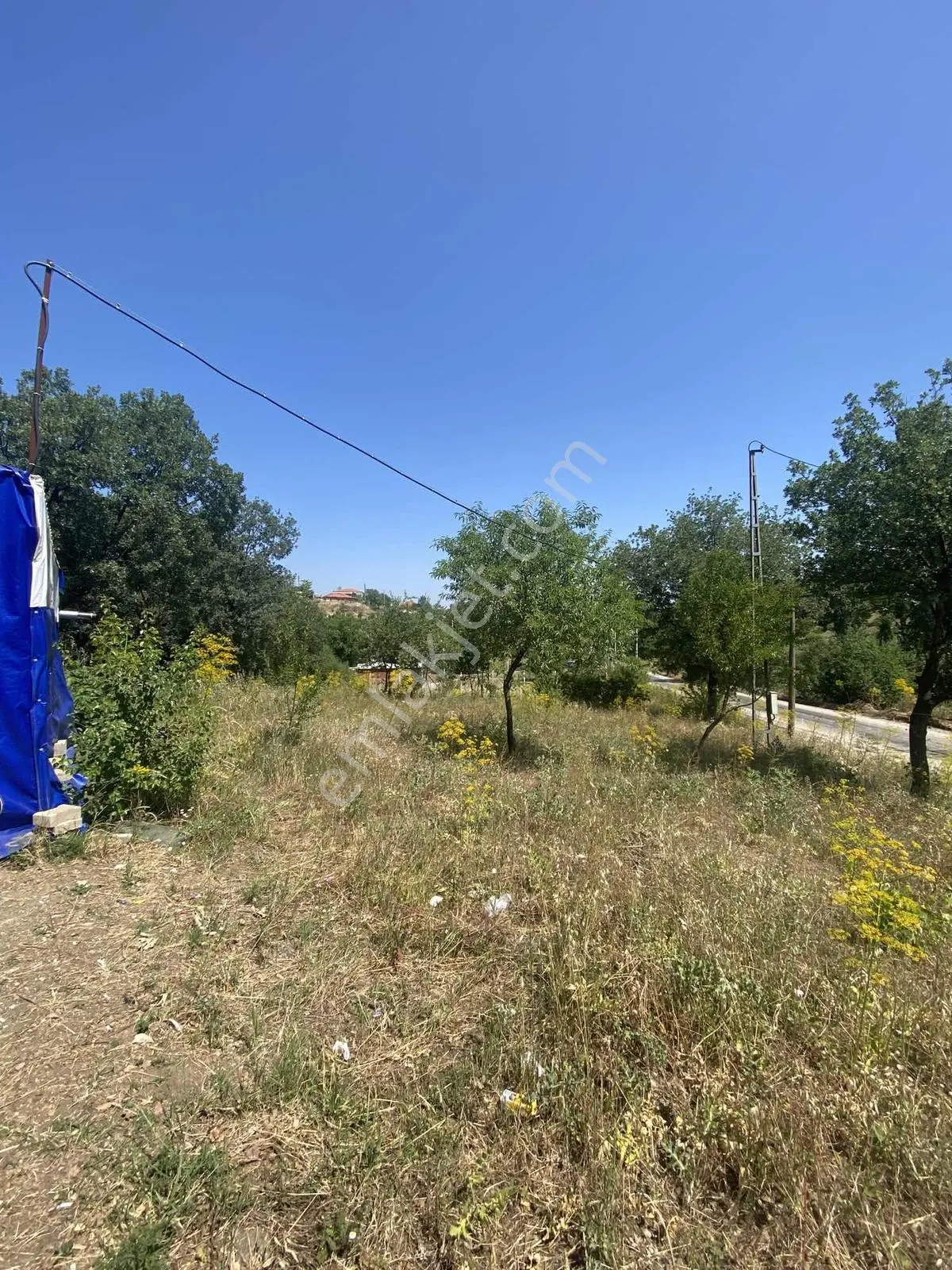 Ayvacık Köyünde Asfalt Yol Cepheli Elektrik Suyu Aktif Bahçe - Görsel 10