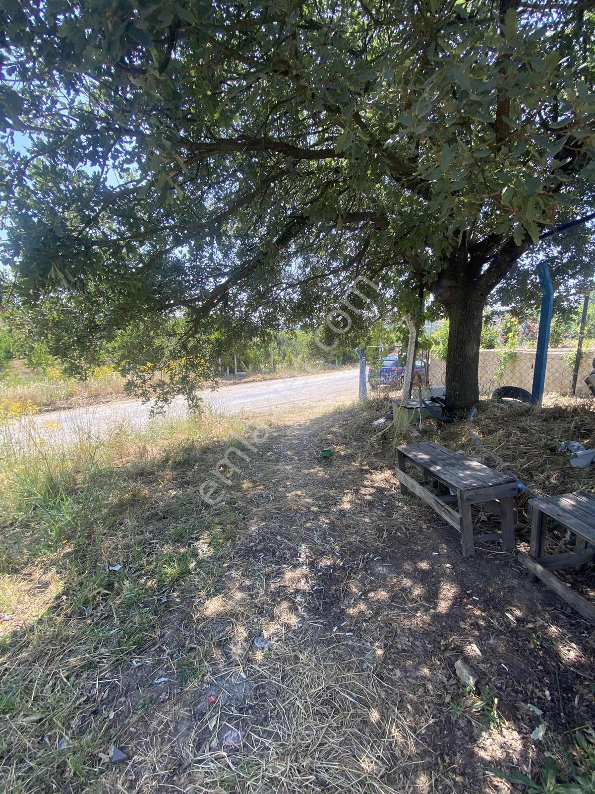 Ayvacık Köyünde Asfalt Yol Cepheli Elektrik Suyu Aktif Bahçe - Görsel 2