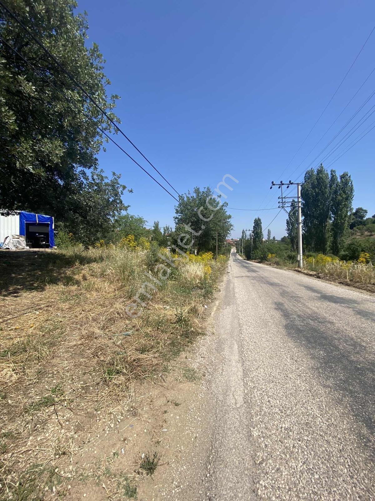 Ayvacık Köyünde Asfalt Yol Cepheli Elektrik Suyu Aktif Bahçe - Görsel 8