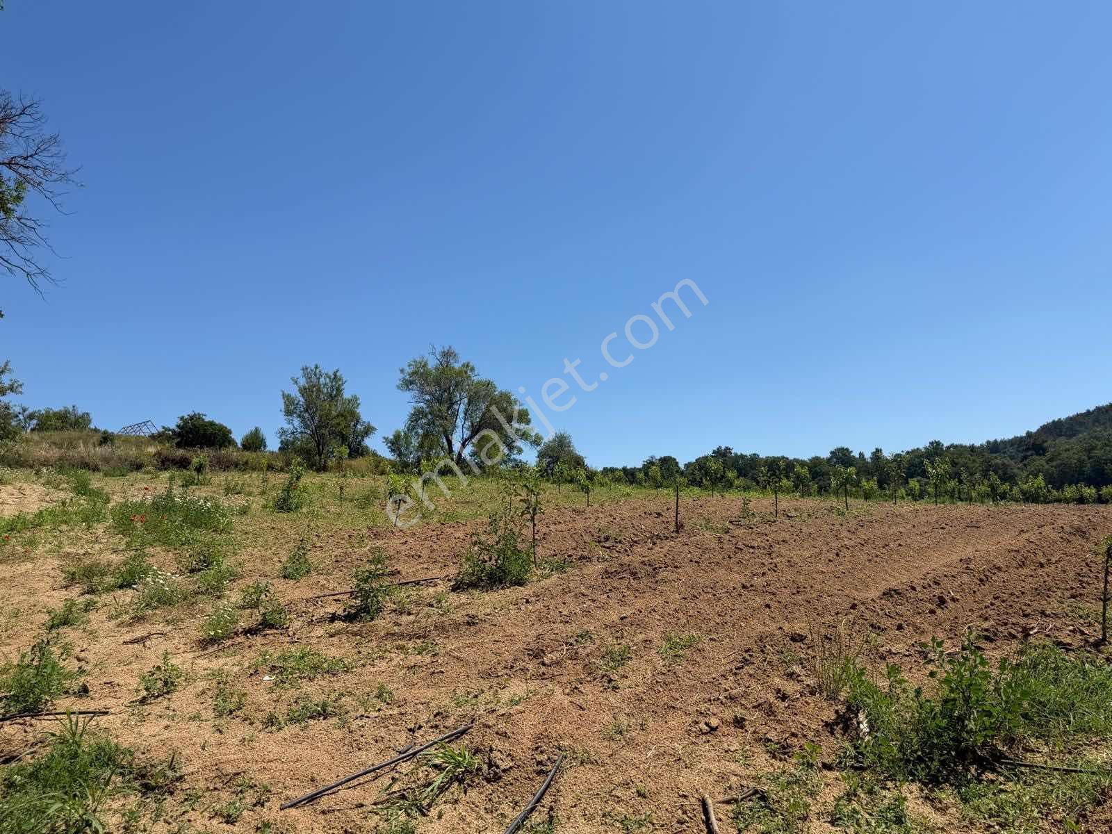 Bayramiç'de Oteller Bölgesinde Satılık Arazi - Görsel 3