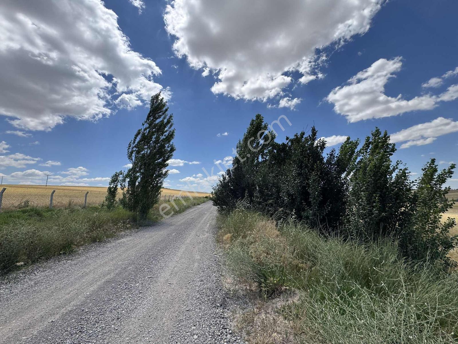 Tanrıverdı'den Satılık Otobana Yakın Tek Tapu 11.062 M2 Tarla - Görsel 17