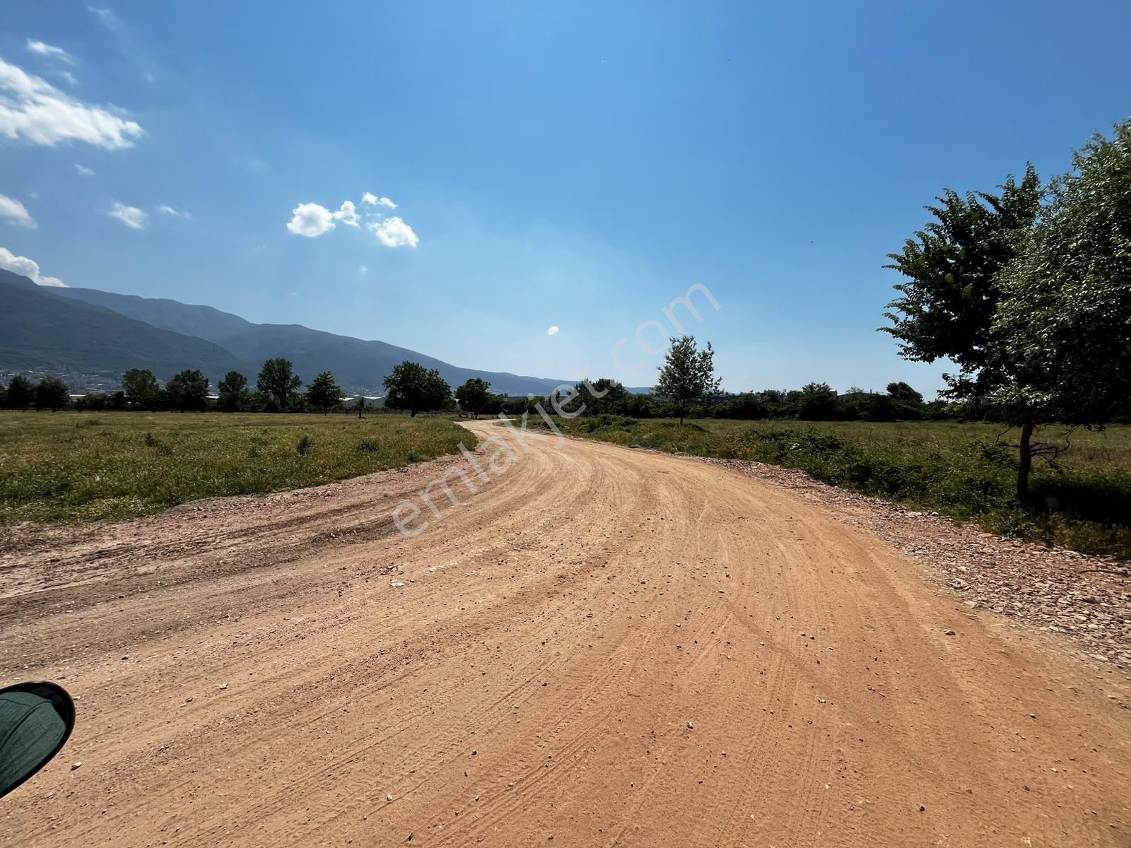 Vakıf Mahallesinde Mevcut 2 Tapu Bir Tarla 6.900 M2 - Görsel 14