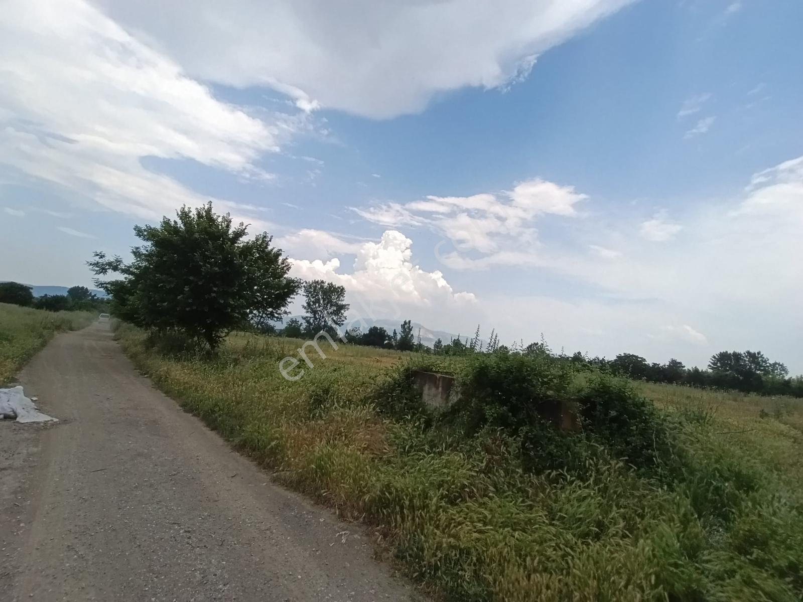 Vakıf Mahallesinde Mevcut 2 Tapu Bir Tarla 6.900 M2 - Görsel 4