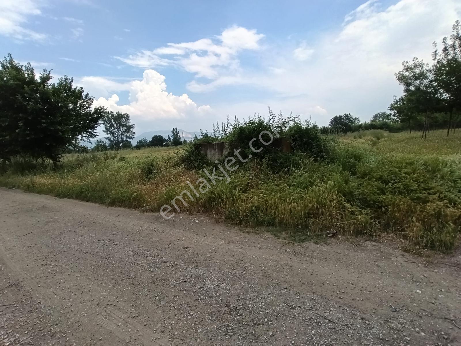 Vakıf Mahallesinde Mevcut 2 Tapu Bir Tarla 6.900 M2 - Görsel 18