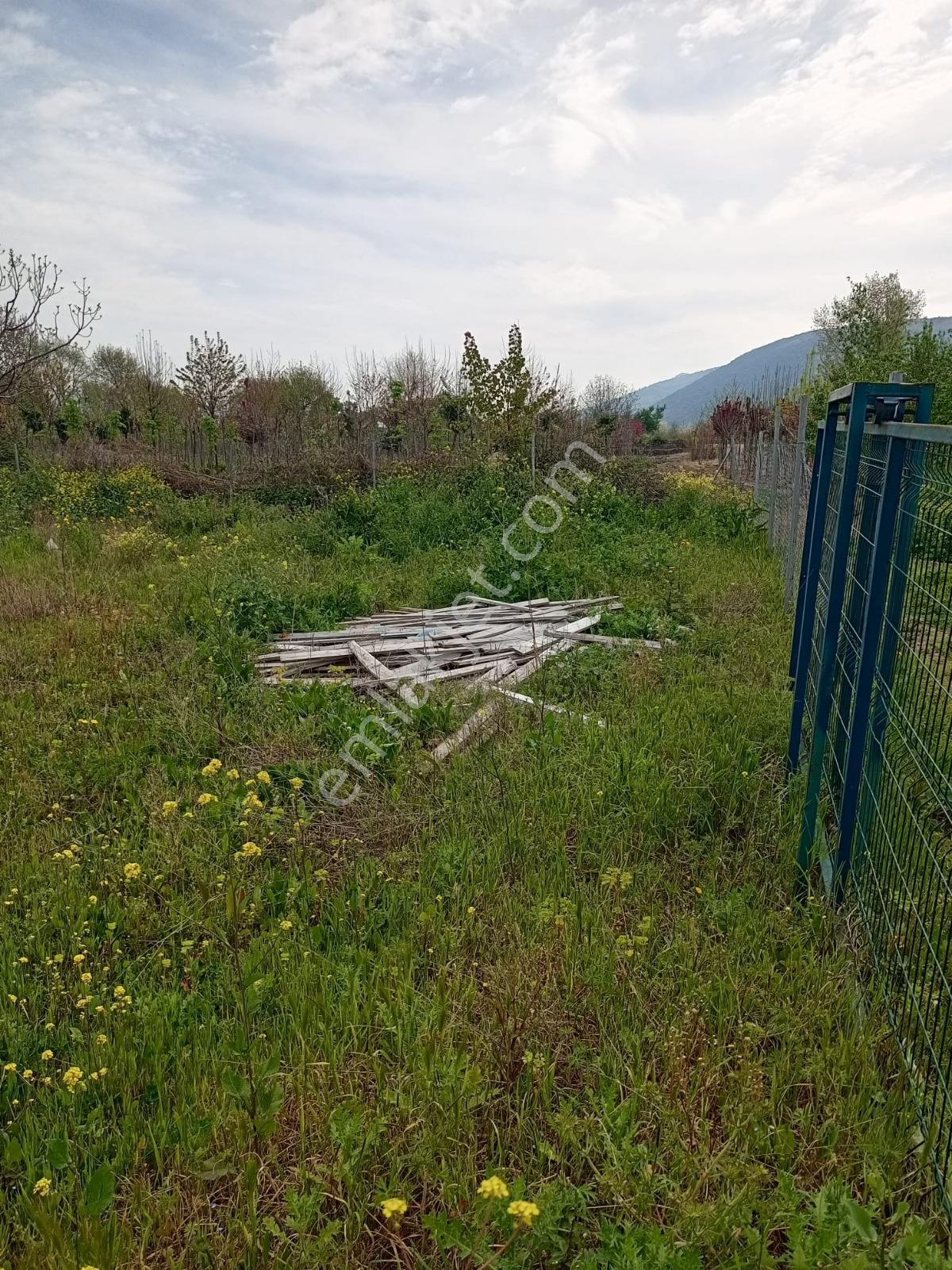 Gürsü İstiklal 337 M2 Hisseli Köşe Parsel Tellerle Kapalı ! - Görsel 9
