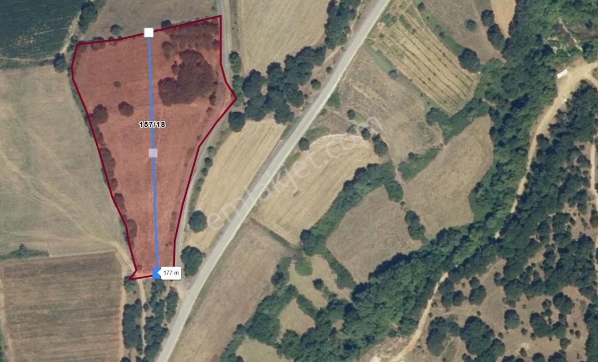 Mir'den Balya Ilıca'da Gölete 250 M 13.250 M2 Satılık Tarla - Görsel 12