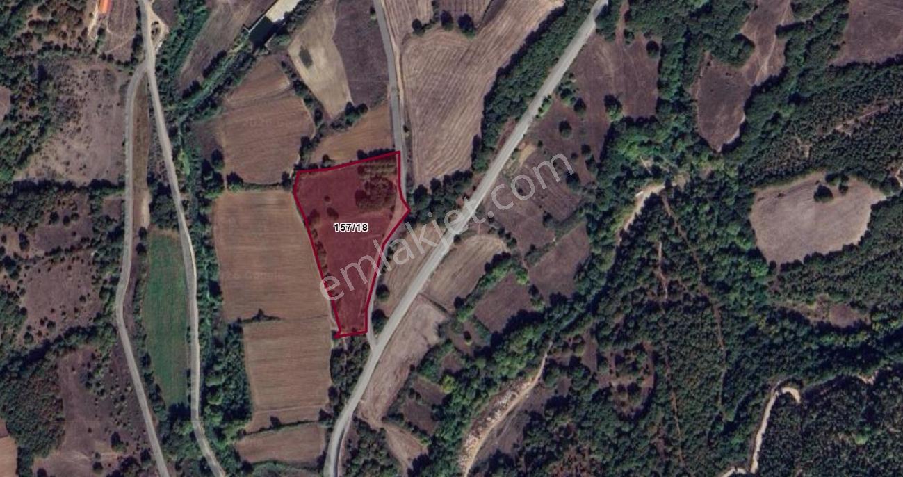 Mir'den Balya Ilıca'da Gölete 250 M 13.250 M2 Satılık Tarla - Görsel 15