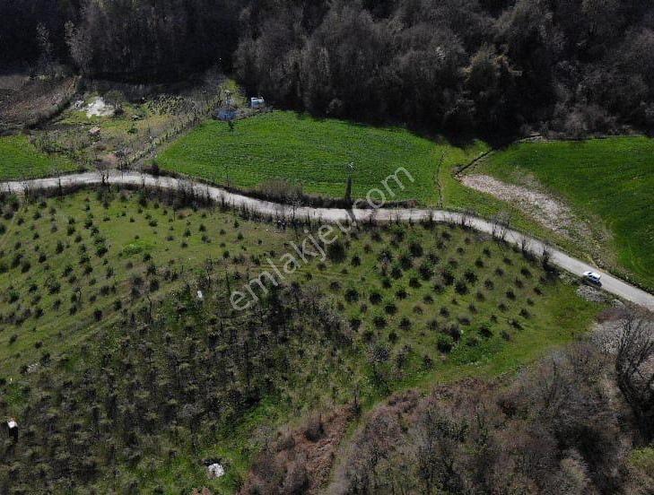 Atakum Yukarıaksuda Tek Tapu 1416 M2 90 Metre Yol Cepheli Tarla - Görsel 3