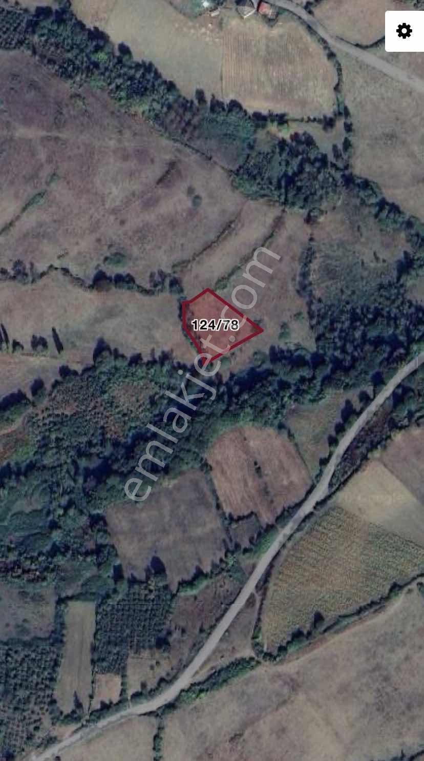 Akmanlarda Satılık Bedava Hisse