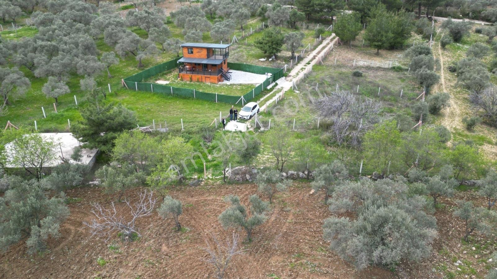 Torbalı Çapak Köy Meydanı Yakını Satılık 623 M2 Ve 311m2 Arsalar - Görsel 3