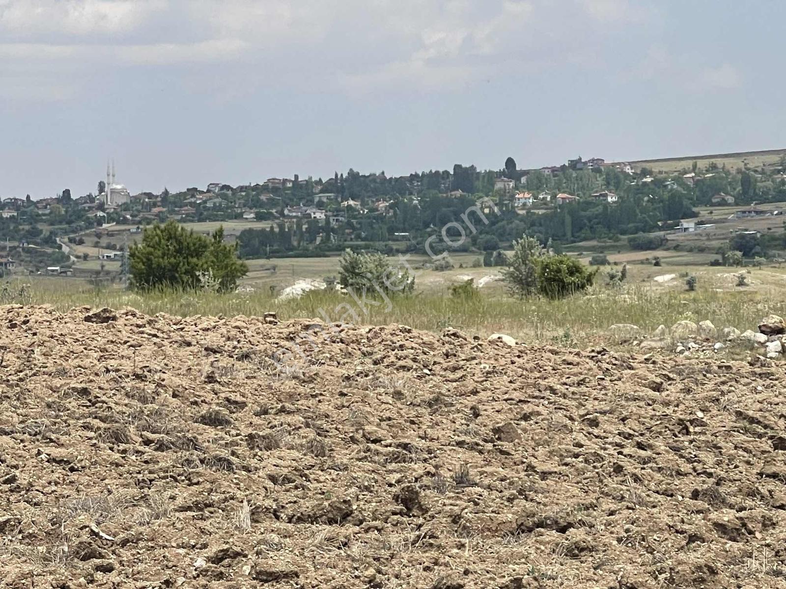 Kızılören De Yerleşim Yanı 2585 Mt2 Tek Tapu Etrafı Komple Mera - Görsel 5