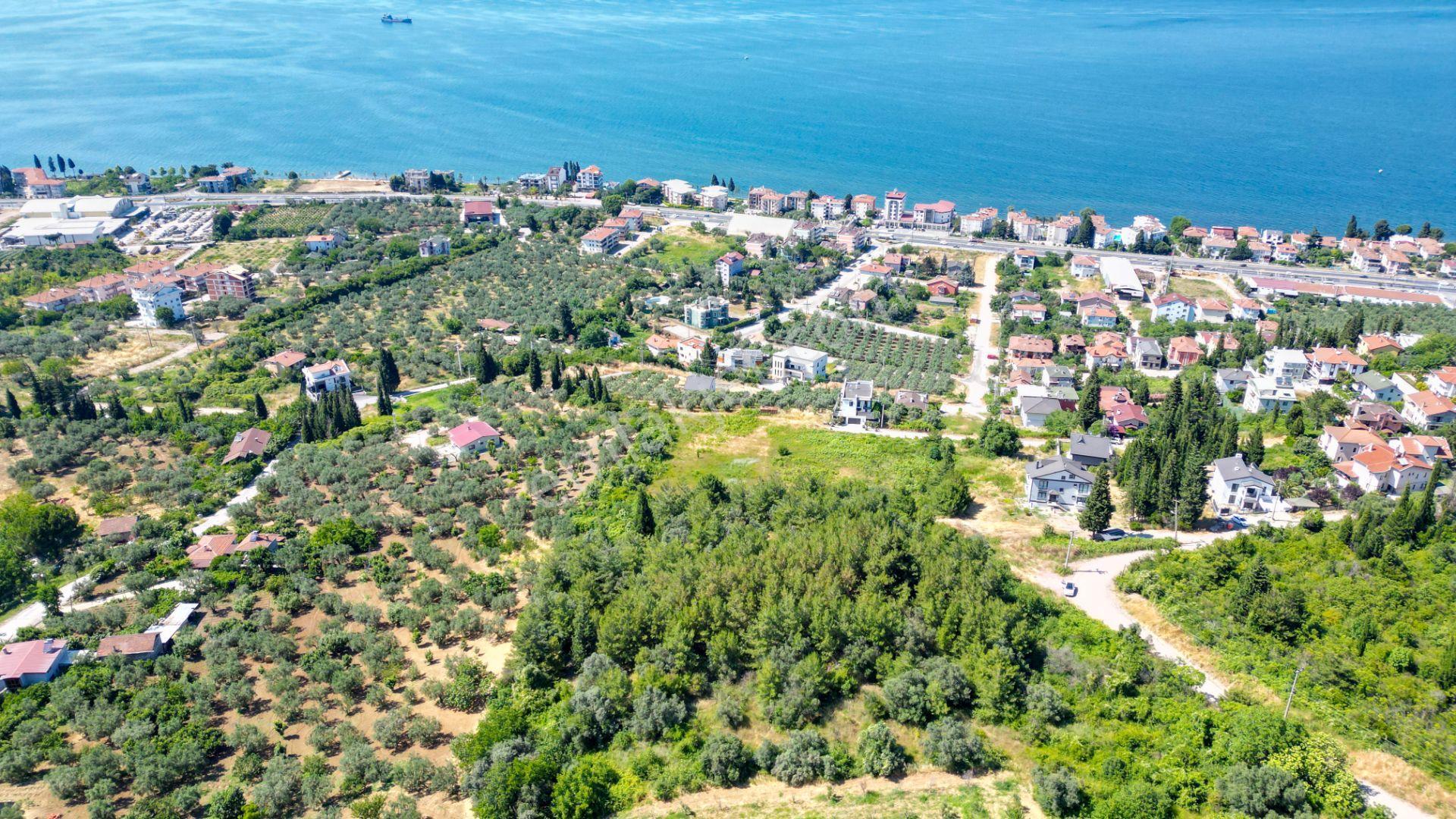 Uzmanlar'dan Kırahmetoğlu 7043 M2 %20 İmarlı Satılık Arsa - Görsel 3