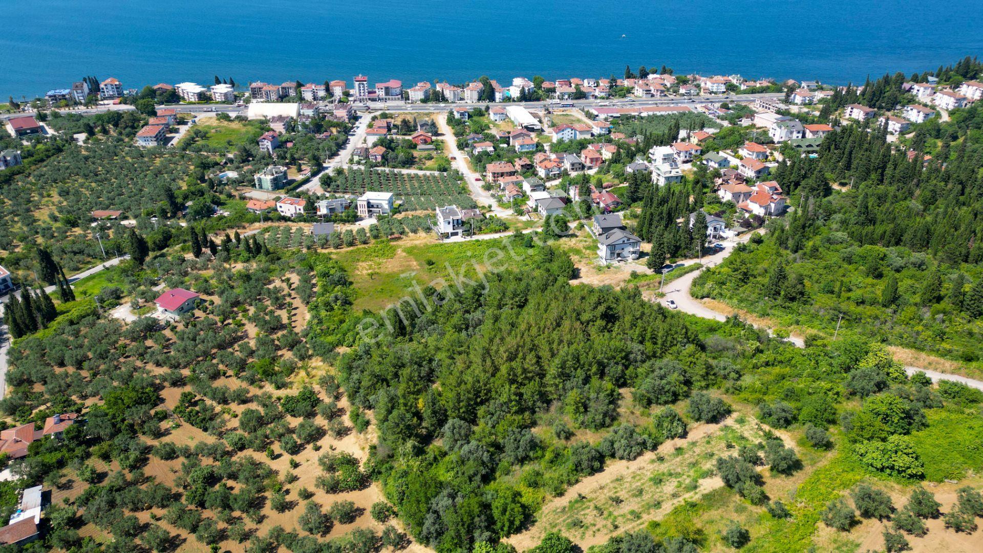 Uzmanlar'dan Kırahmetoğlu 7043 M2 %20 İmarlı Satılık Arsa - Görsel 4