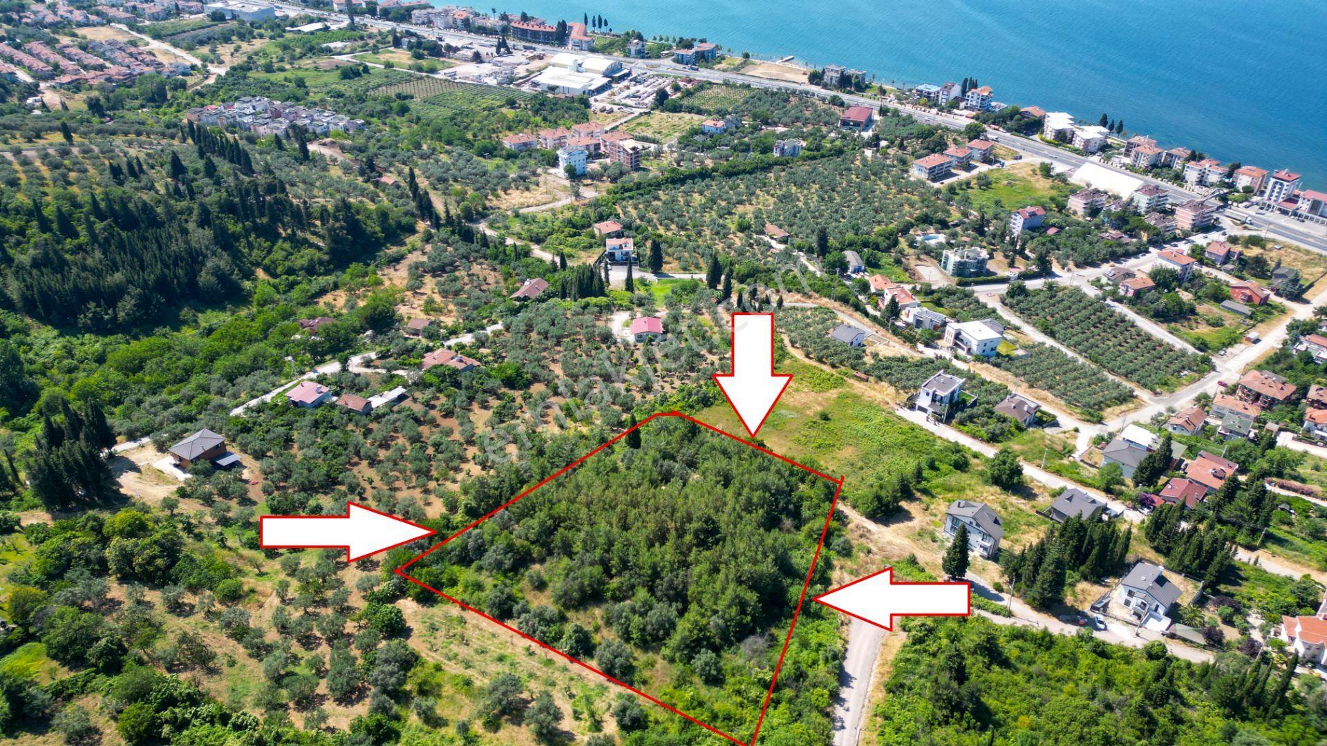 Uzmanlar'dan Kırahmetoğlu 7043 M2 %20 İmarlı Satılık Arsa