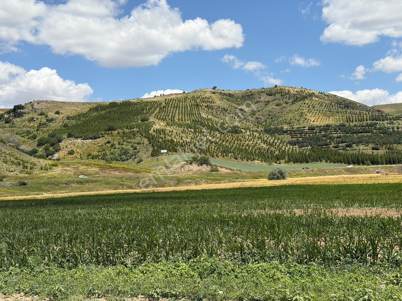 Akyurt Kızık Mah 8.448m2 Tek Tapu Yolu Olan Tarla ... - Görsel 12