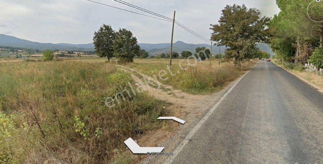 Çanakkale Yenice Kazdağları Yatırımlık & Verimli Tek Tapu Tarla - Görsel 4