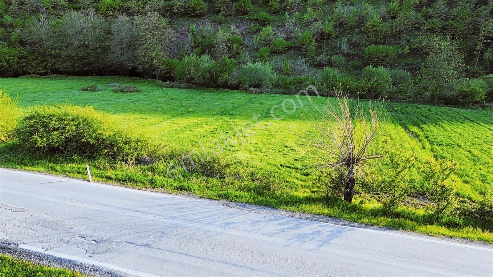 Furkan Demir'den Karamürsel Kızderbent Net 702 M2 Satılık Arsa - Görsel 3