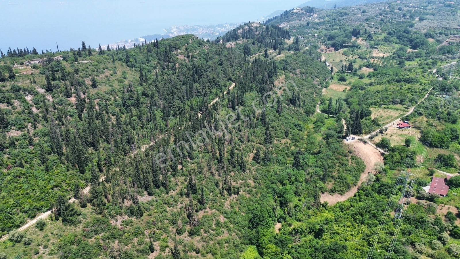 Furkan Demir'den Karamürsel Tepeköy'de 2879 M2 Satılık Tarla - Görsel 3