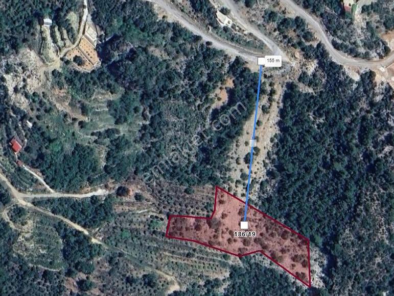 Alanya Bademağacı'nda Yatırım Fırsatı - Görsel 4